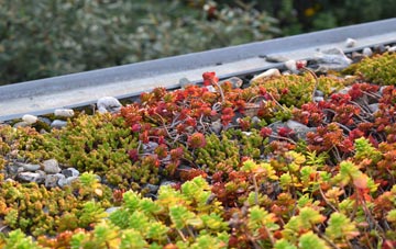 the cost of Corsley Heath green roof installation