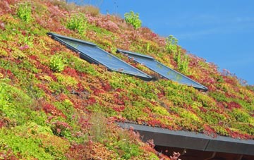 Corsley Heath living roof systems
