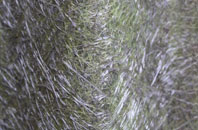 Corsley Heath fibreglass roof work